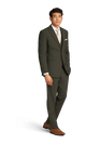 Olive Green Suit